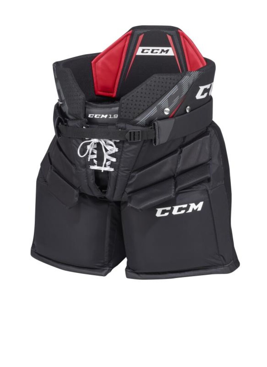 CCM 1.9 INT - main (0)