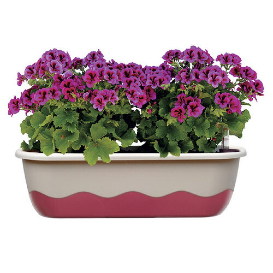 Plastia Samozavlažovací truhlík Mareta 60 cm, bílá + vínová - main (1)
