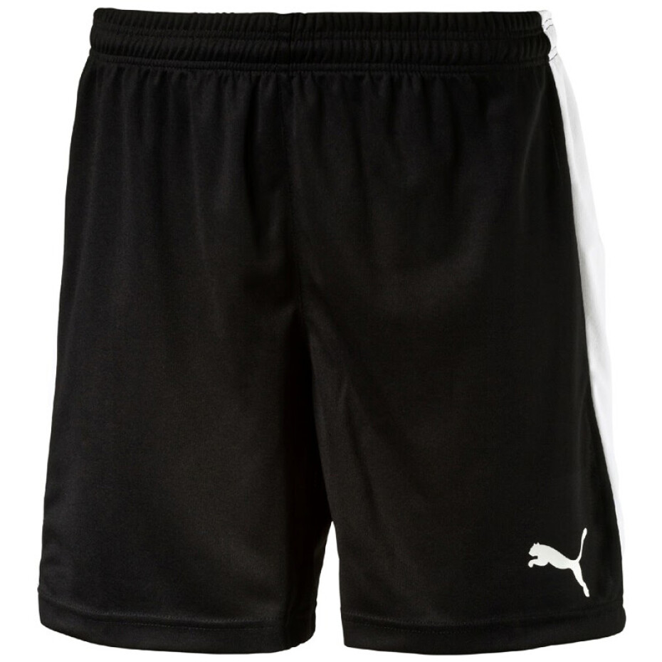 Pánské šortky Puma  Pitch  bílo-zelená, L - main (7)