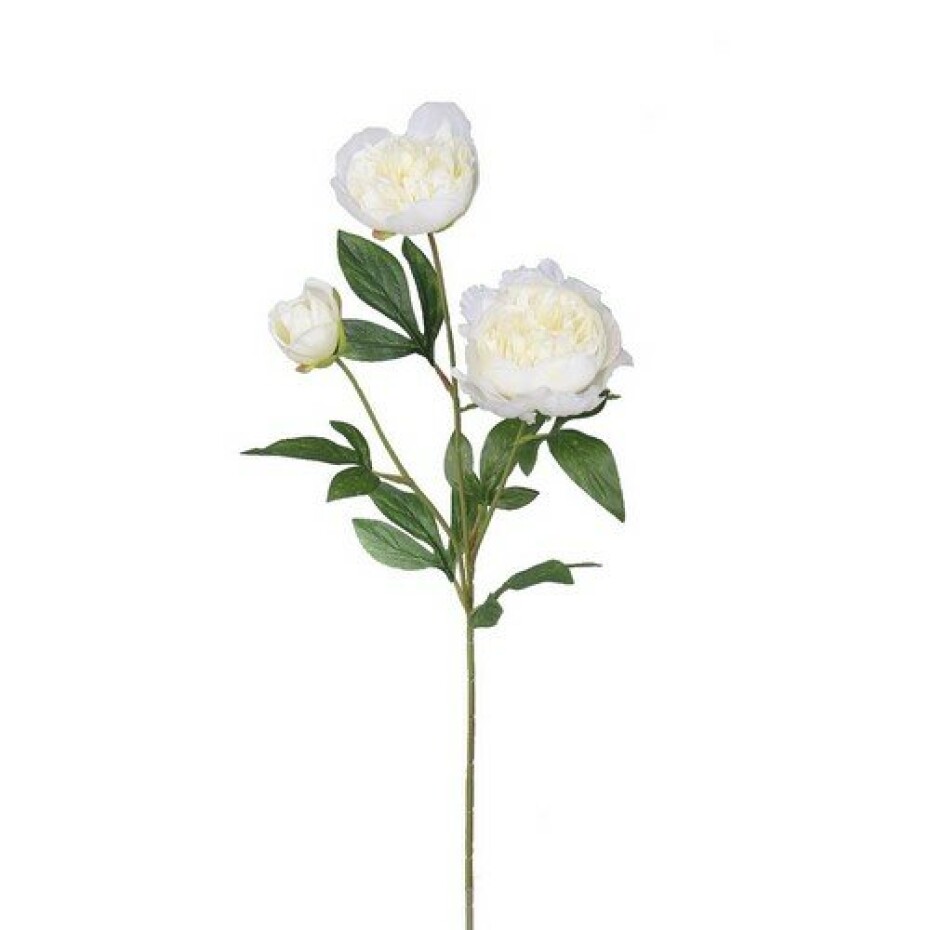Umělá pivoňka, 67 cm, bílá - main (0)