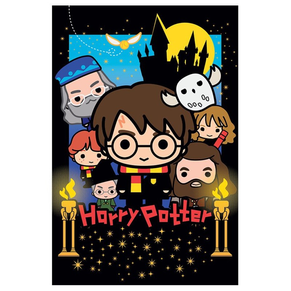 Harry Potter 3D puzzle - Harry Potter 300 dílků + plyšák - Schleich Dino - main (0)