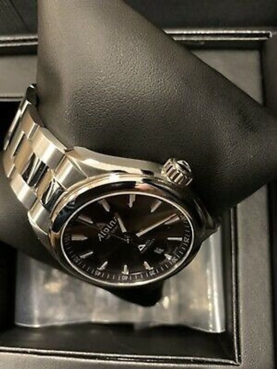 Alpina Alpiner Quartz AL-240GS4E6B - main (14)