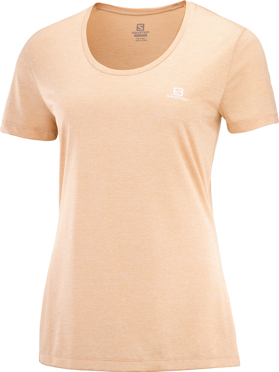 Salomon Agile SS Tee Sirocco - main (0)