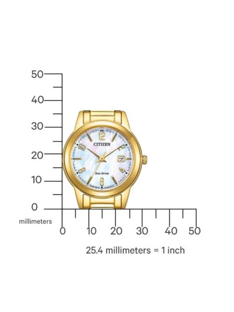 Citizen Eco-Drive Elegance Ladies FE1242-78D - main (6)