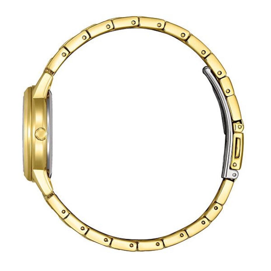 Citizen Eco-Drive Elegance Ladies FE1242-78D - main (1)