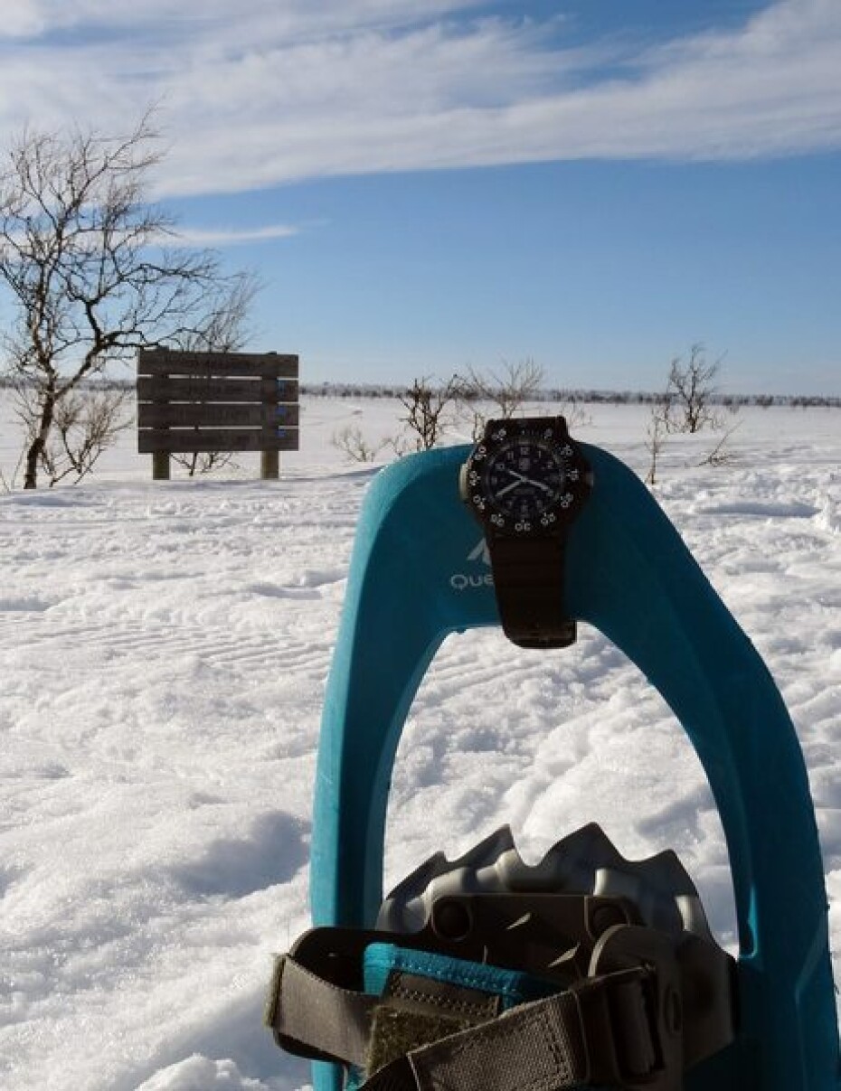 Luminox 3001.F - main (39)