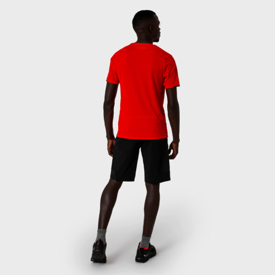 Pánské šortky Salewa  Pedroc 3 DST M Cargo Shorts  M - main (3)