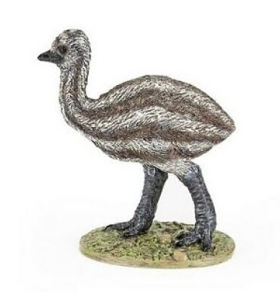 Emu mládě - main (0)
