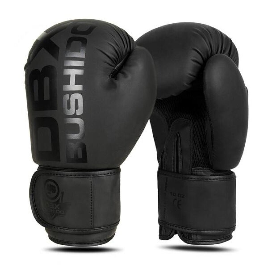 BUSHIDO Boxerské rukavice DBX B-2v21 - main (0)