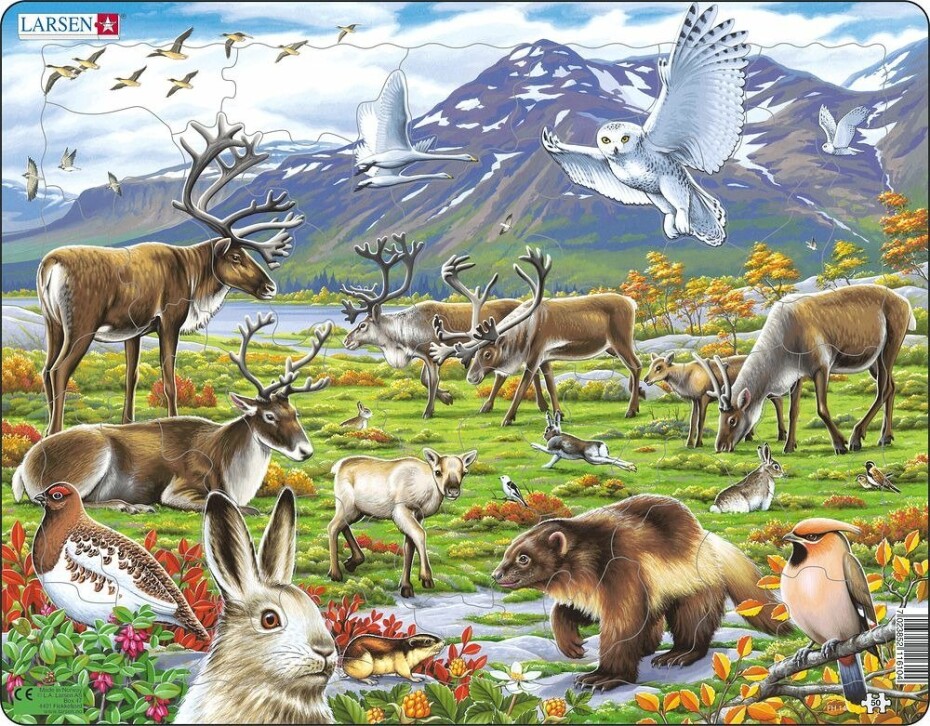 Puzzle MAXI - Zvířata ve stepi/50 dílků, 1.  vydání - Kohoutová tetování - main (0)