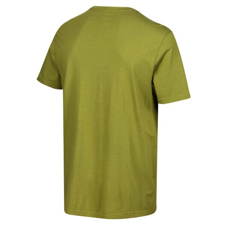 Pánské tričko Inov-8  Graphic "Helvellyn" Green XL - main (1)