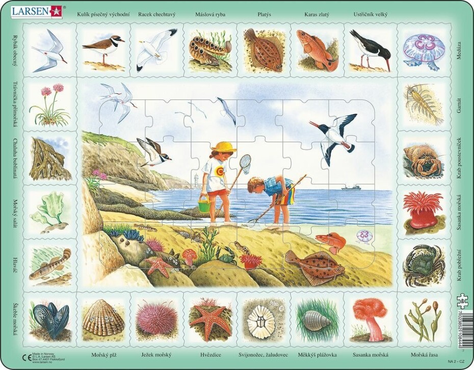 Puzzle MAXI - Život u moře/48 dílků, 2.  vydání - Larsen - main (0)