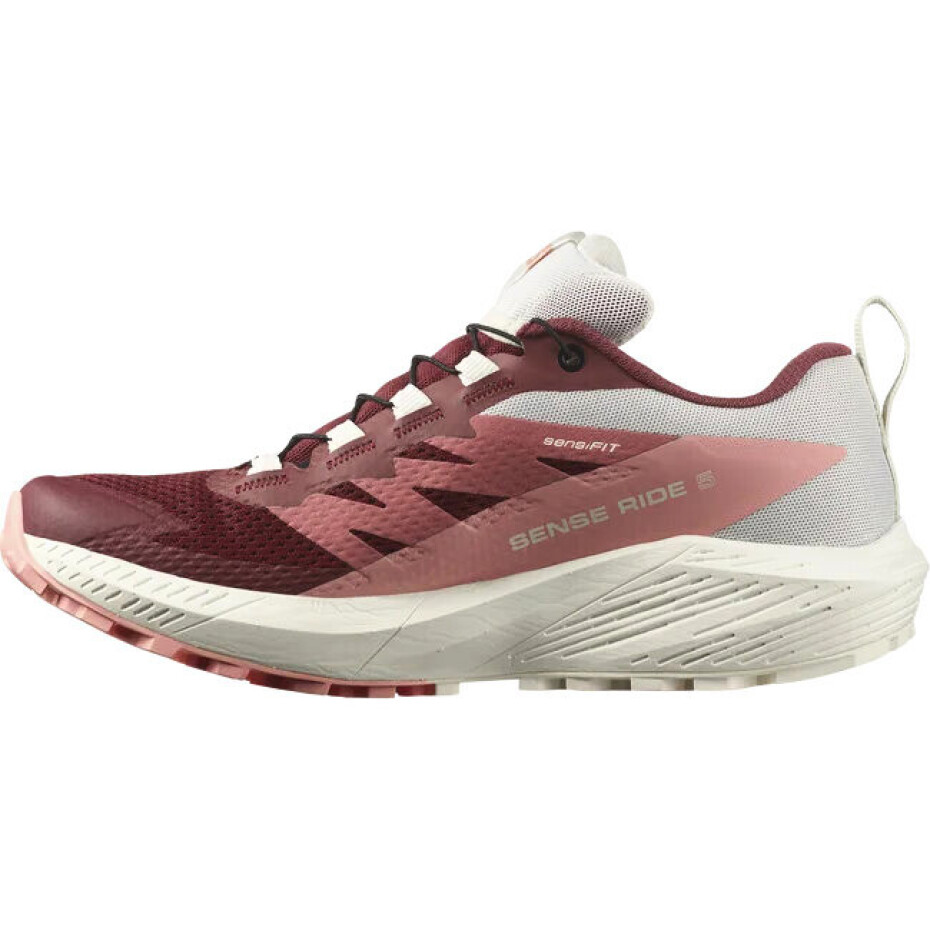 Dámská běžecká obuv Salomon Sense Ride 5 GTX W Syrah/Vanila/Pea  UK 5 - main (4)
