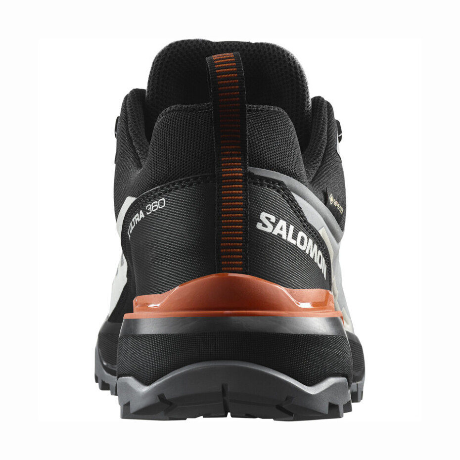 Pánská outdoorová obuv Salomon  X ULTRA 360 GTX Quiet Shade/Black/Spice Route  UK 11 - main (6)