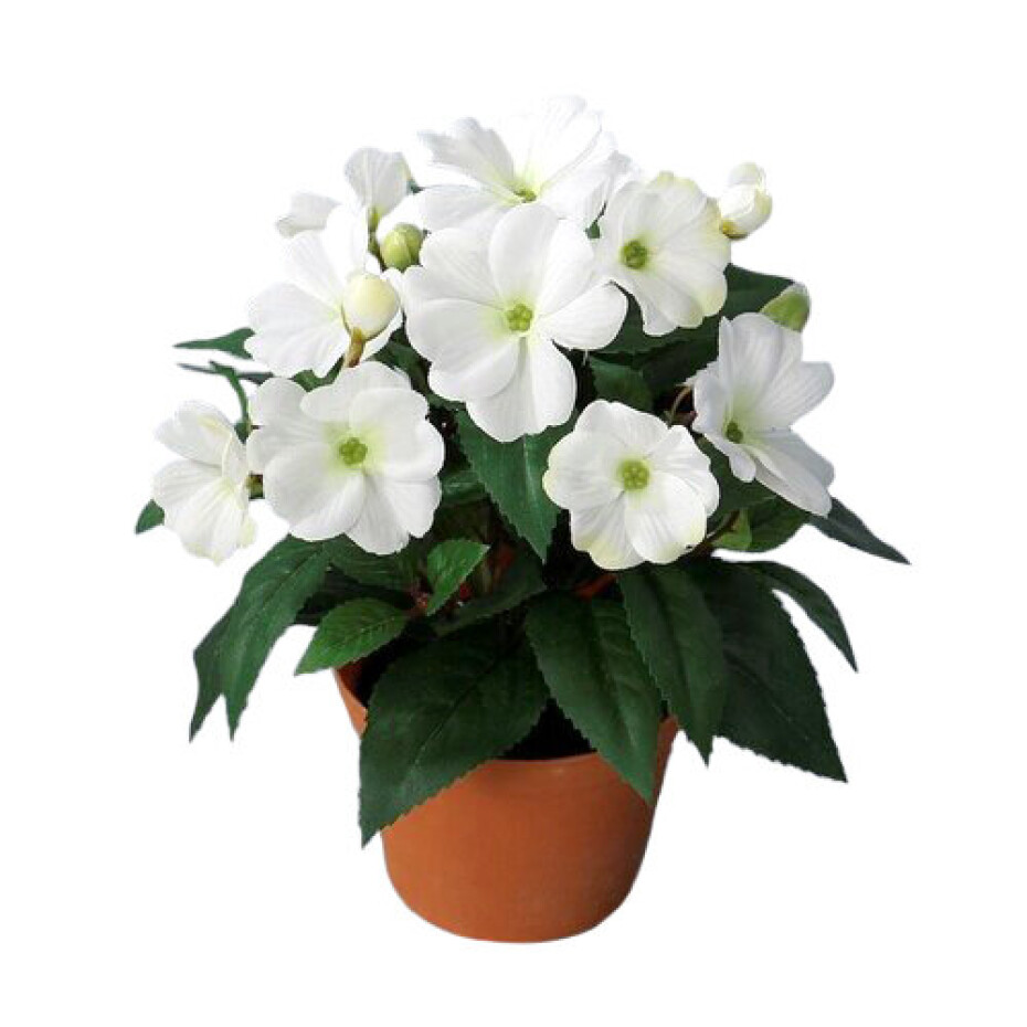 Umělá Netýkavka v květináči bílá, 24 cm - main (0)