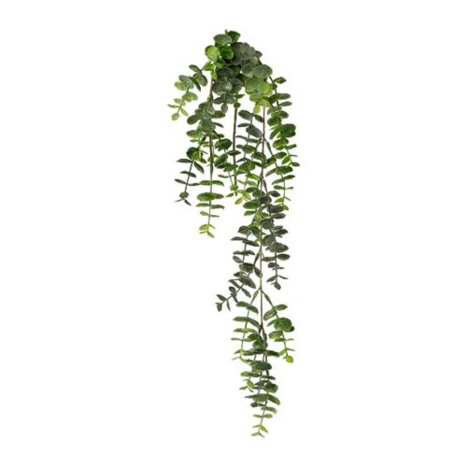 Umělá rostlina Eucalyptus závěsná, 63 cm , zelená - main (0)