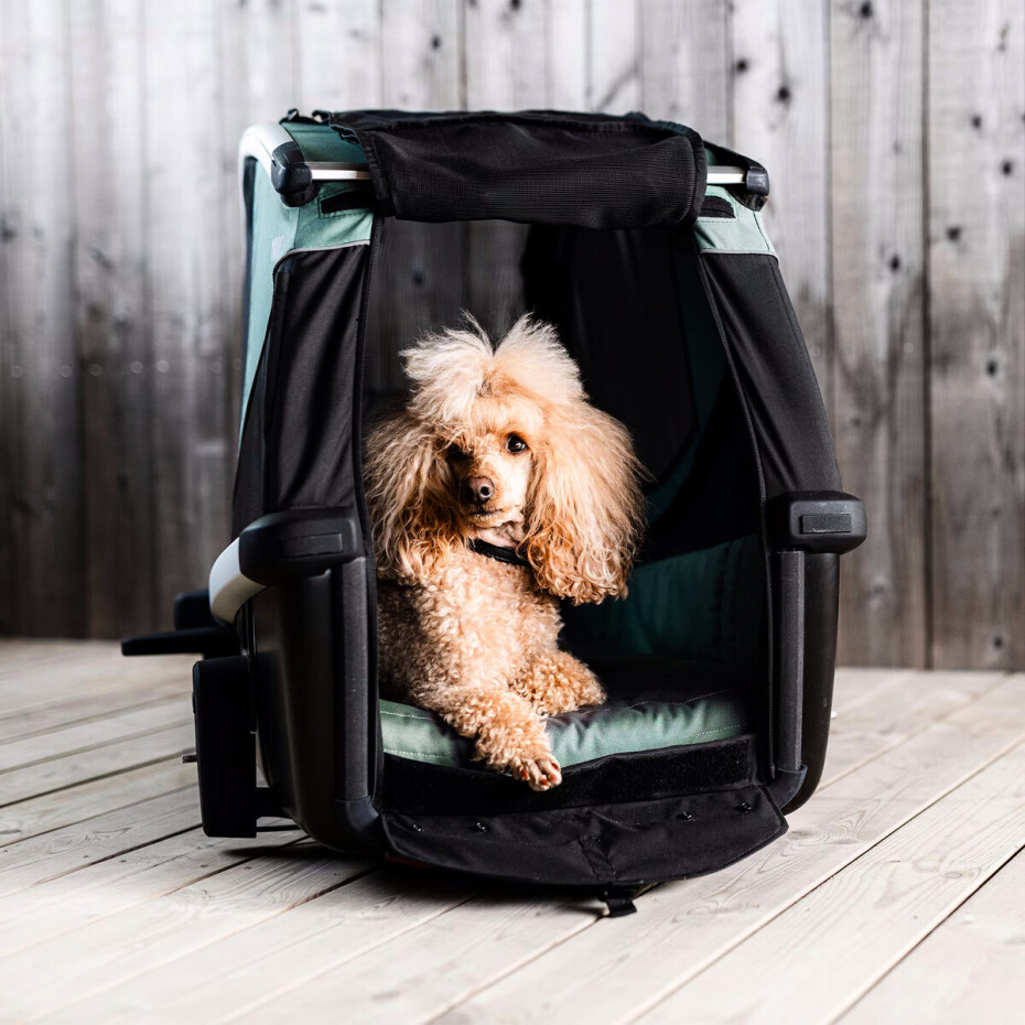 Vozík za kolo pro psa Thule Bexey Hazy Green L - main (3)