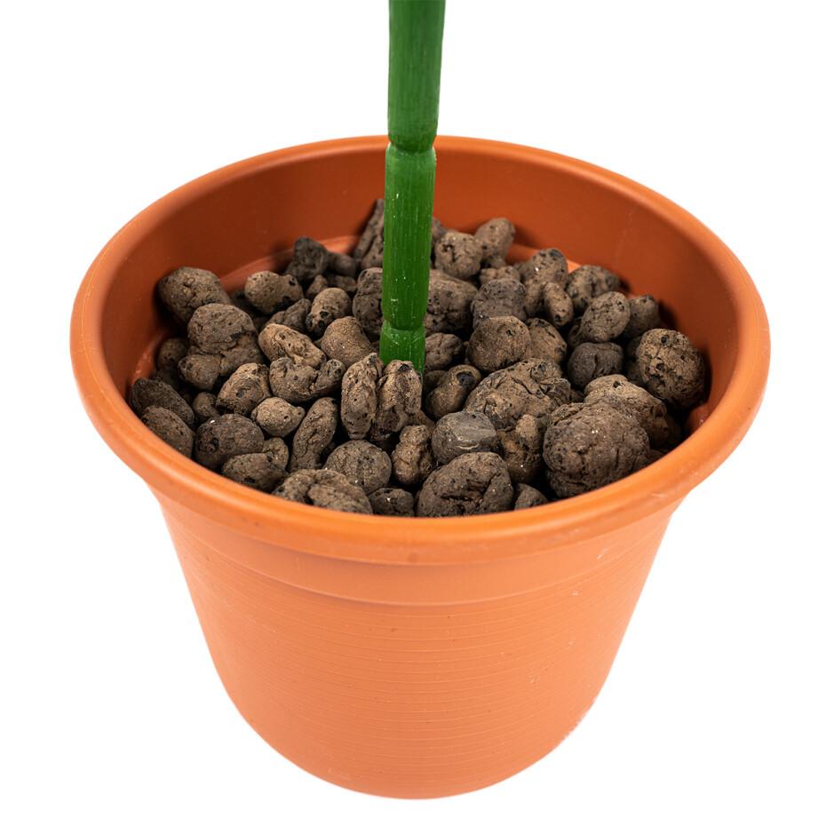 Umělá květina Syngonium v květináči - main (3)