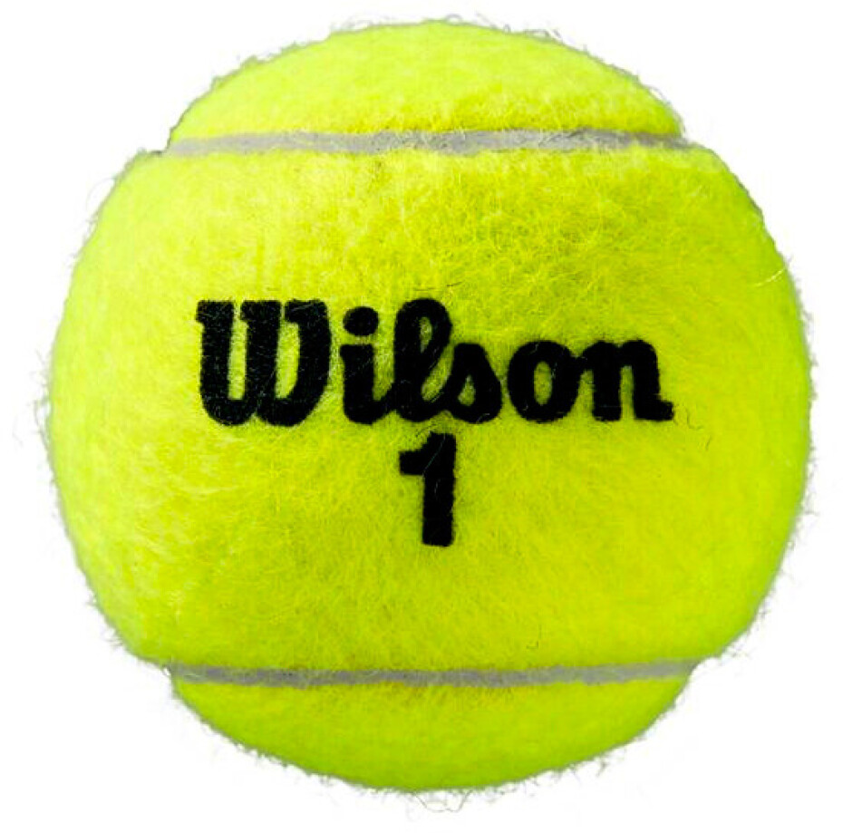 Tenisové míče Wilson  Roland Garros All Court (4 Pack) - main (2)