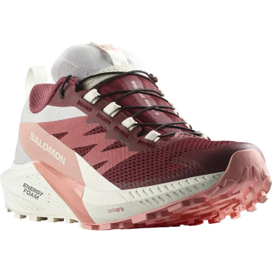 Dámská běžecká obuv Salomon Sense Ride 5 GTX W Syrah/Vanila/Pea  UK 5 - main (6)