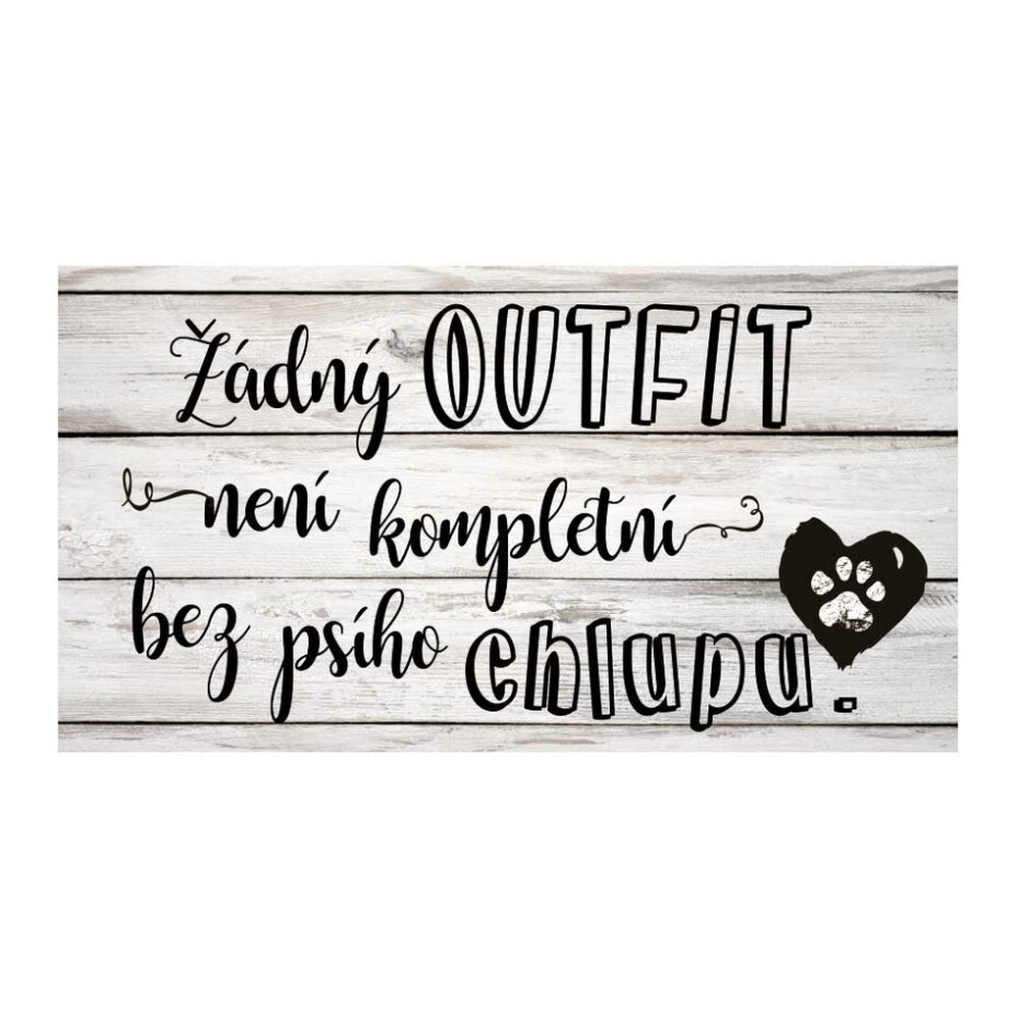 Bohemia Gifts Dekorační obrázek - Outfit chlupy - main (0)
