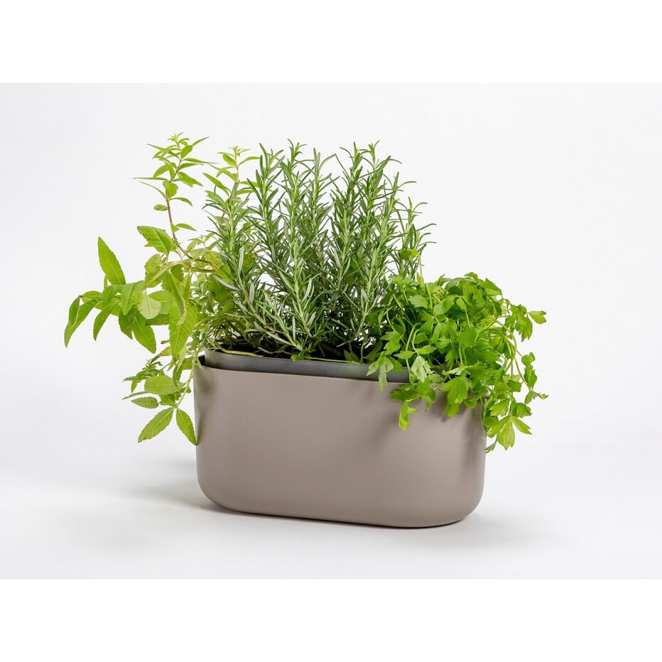 Plastia Samozavlažovací truhlík Tolita hnědá, 31 x 16 cm - main (4)