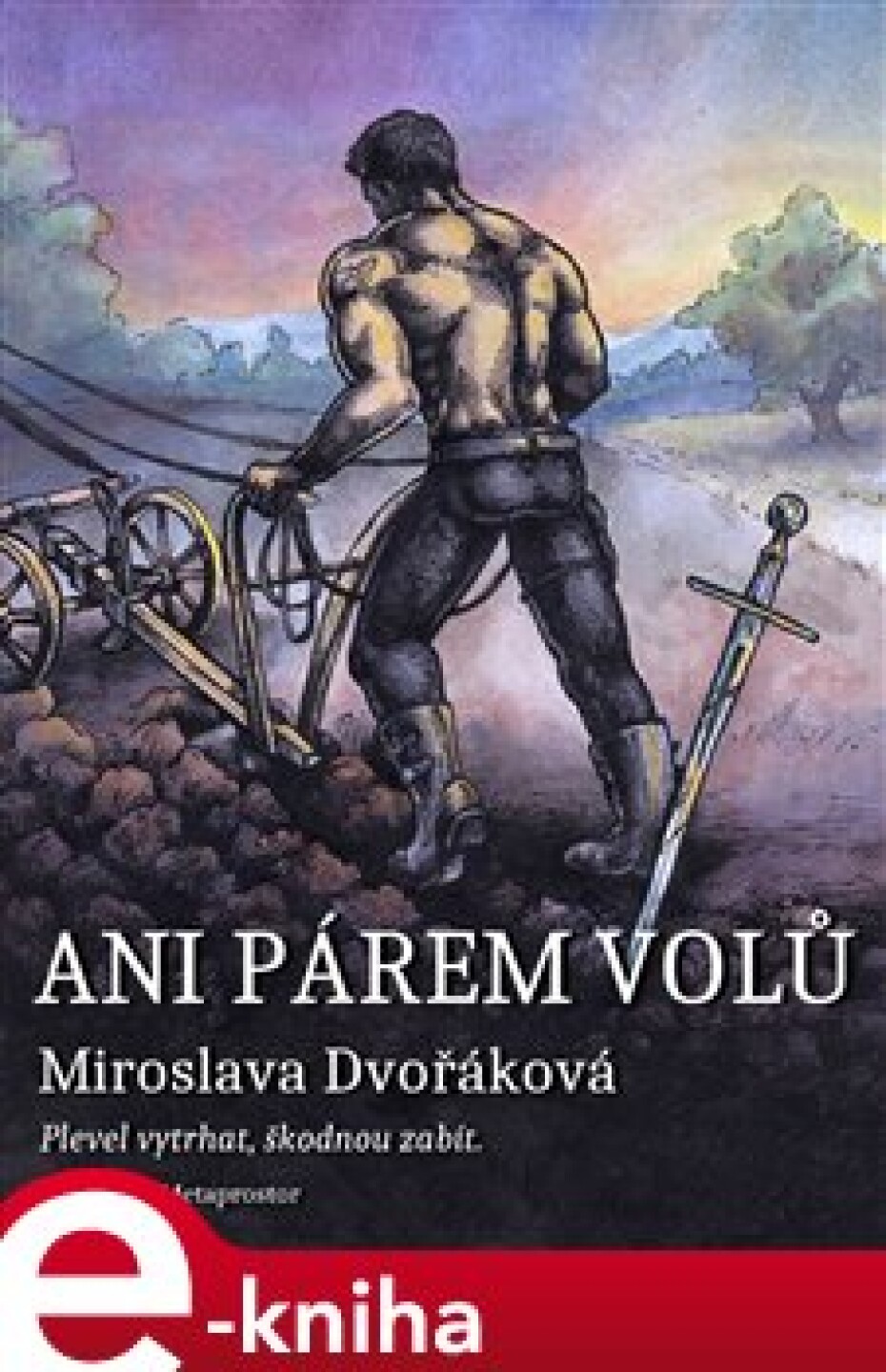 Ani párem volů… - Miroslava Dvořáková - main (0)