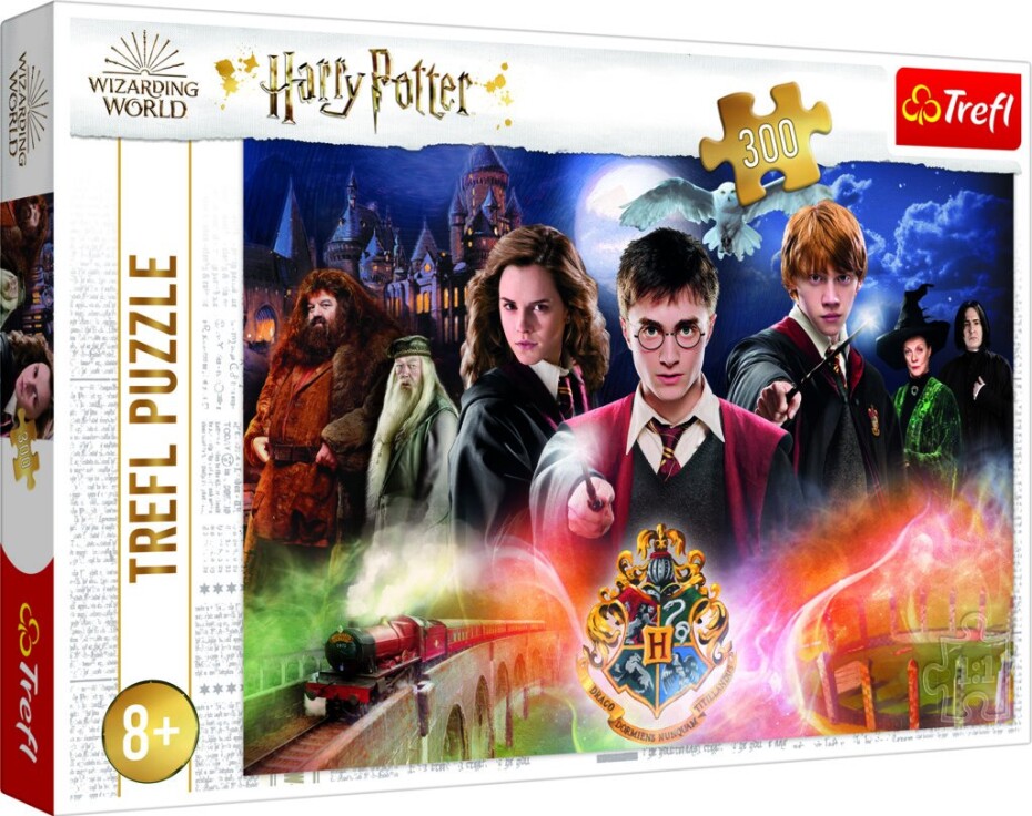 Trefl Puzzle Harry Potter - Tajemný Harry Potter/300 dílků - Trefl - main (0)