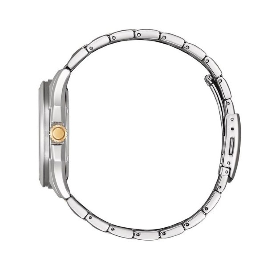 Citizen Eco-Drive Classic AW1756-89A - main (2)