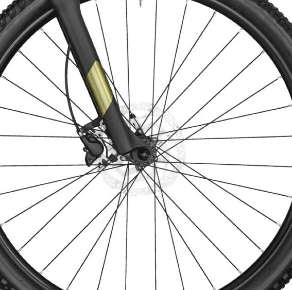 Bergamont Revox 6.0 2017 - main (1)
