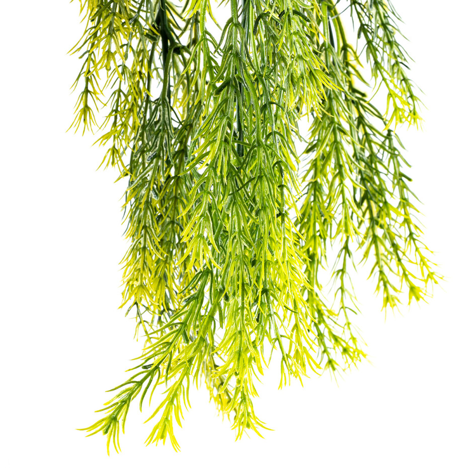 Umělý převislý Asparagus, 75 cm - main (1)