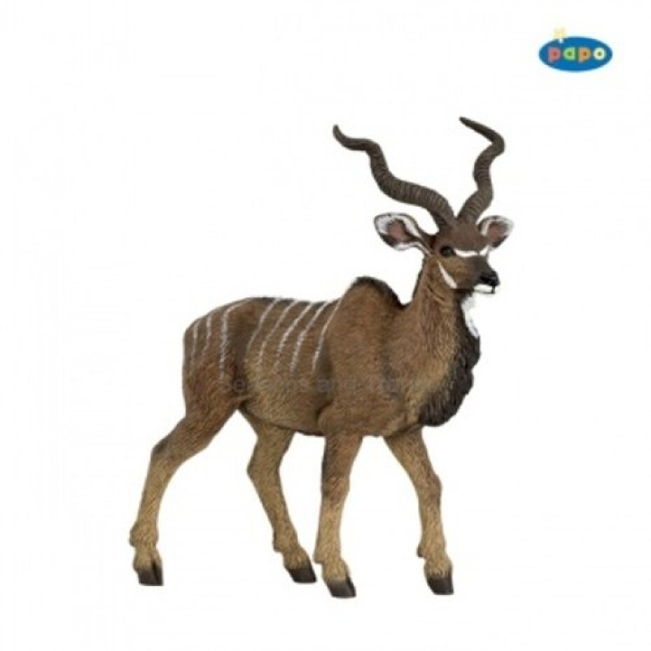 Antilopa kudu - main (0)