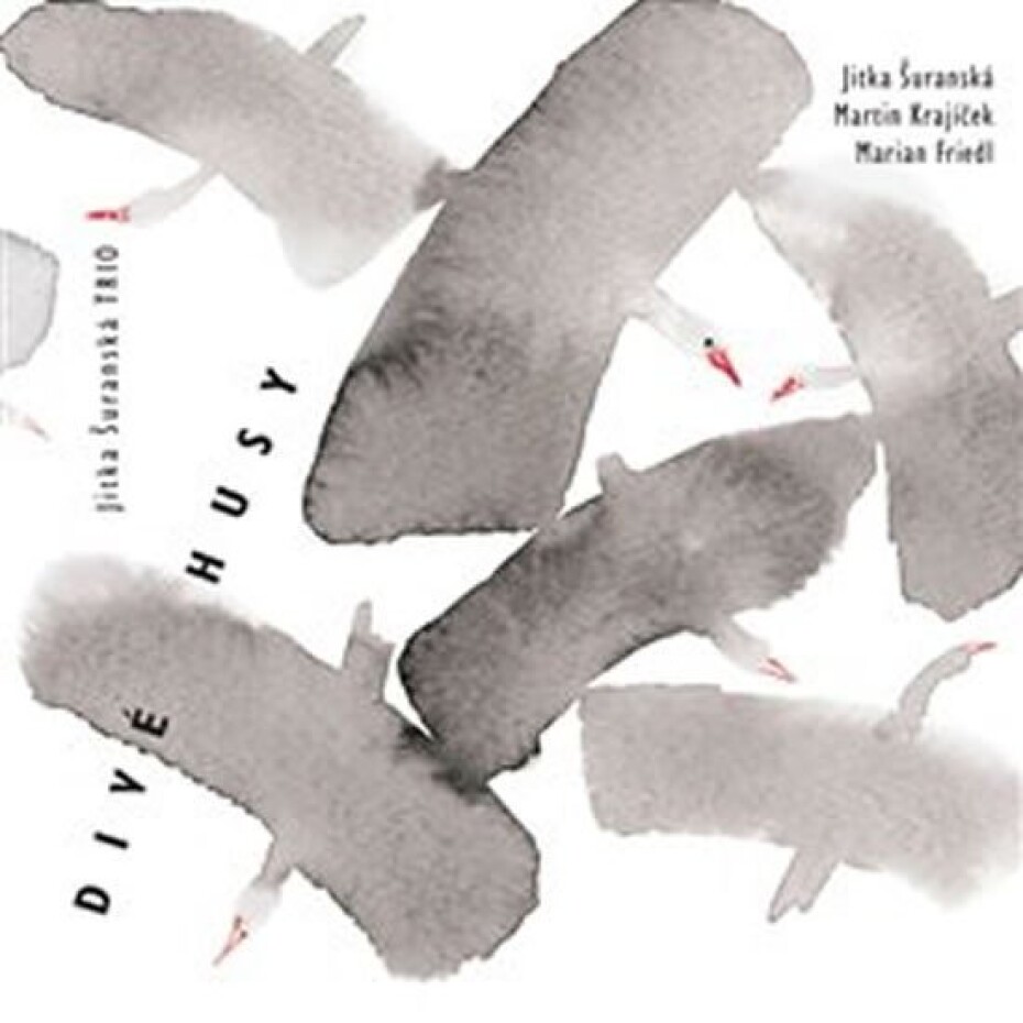Divé husy - CD - Jitka Šuranská - main (0)