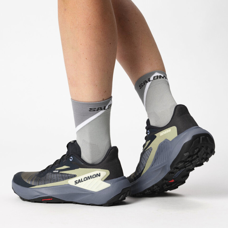 Dámská běžecká obuv Salomon Genesis W Carbon/Grisaille/Aloe Wash  UK 7 - main (7)