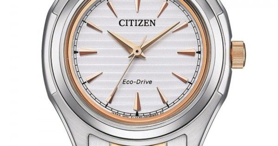 Citizen Eco-Drive Classic Ladies FE2116-85A - main (3)
