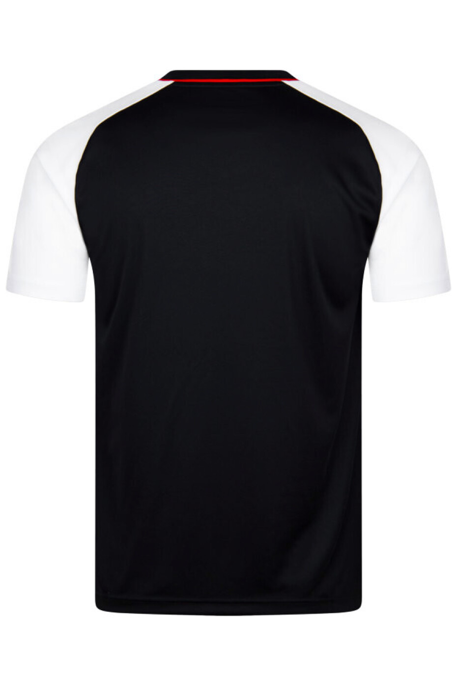 Pánské tričko Victor  T-Shirt T-43101 C L - main (2)