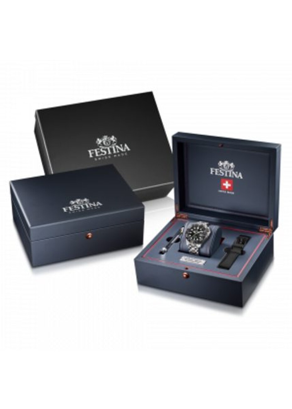 Festina Swiss Made 20043/6 - main (6)
