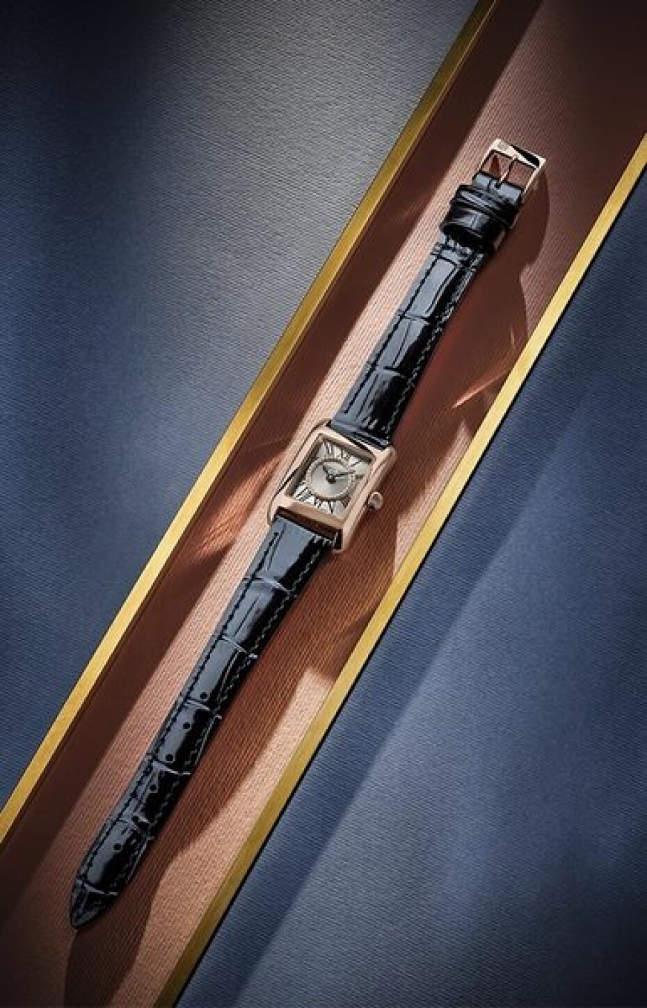 Frederique Constant Classics Carrée Ladies Quartz FC-200MCDC14 - main (5)