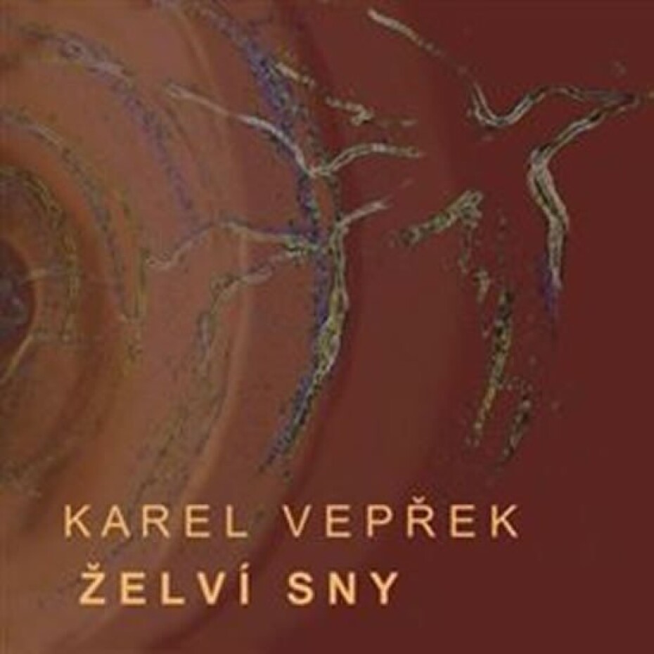 Želví sny - CD - Karel Vepřek - main (0)