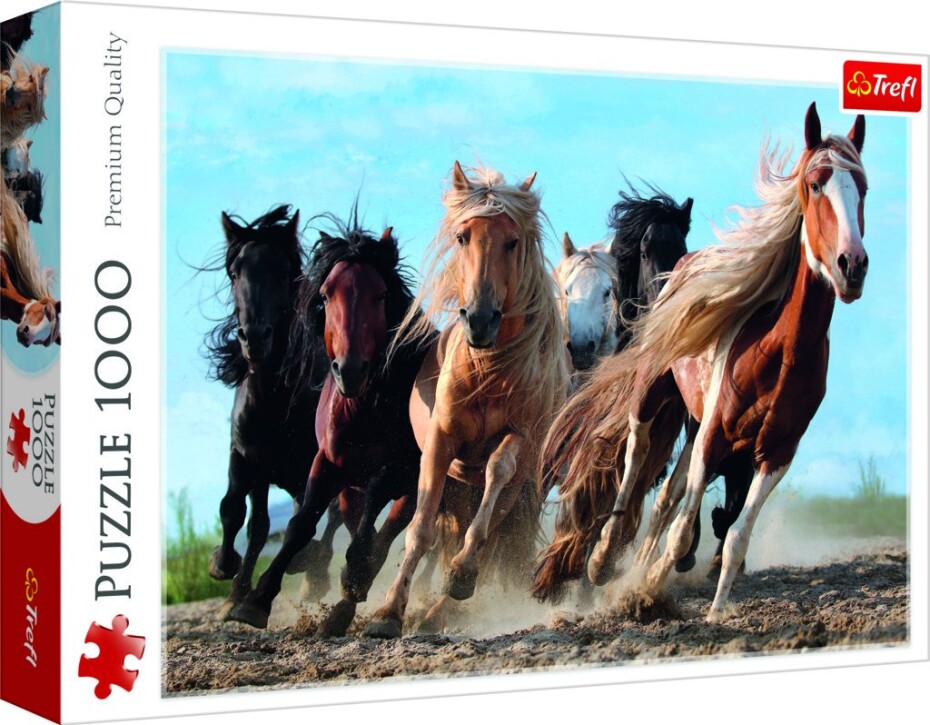Trefl Puzzle Cválající koně / 1000 dílků - Tolo - main (0)