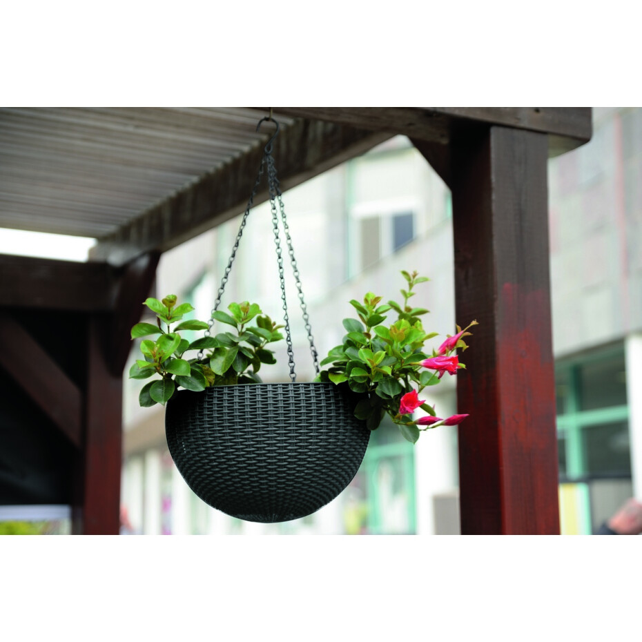 Keter Závěsný květináč Sphere antracit, pr. 35 cm - main (5)
