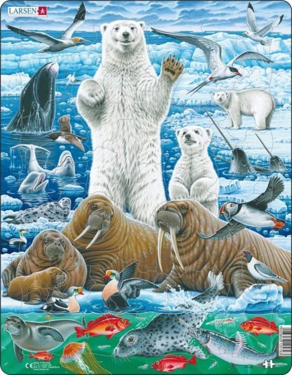 Puzzle Lední medvěd a mrož - main (0)