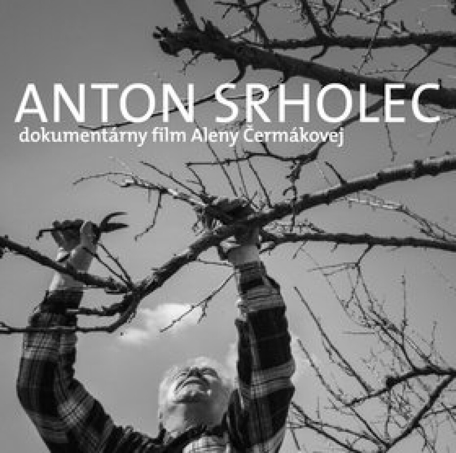 Anton Srholec Cesta, po ktorej som išiel - Anton Srholec - main (0)