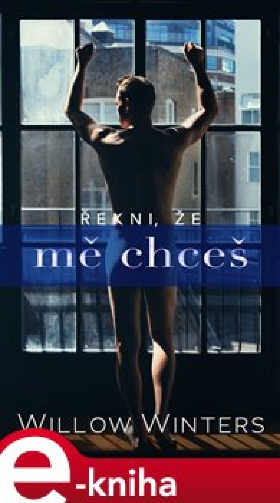 Řekni, že mě chceš - Willow Winters - main (0)