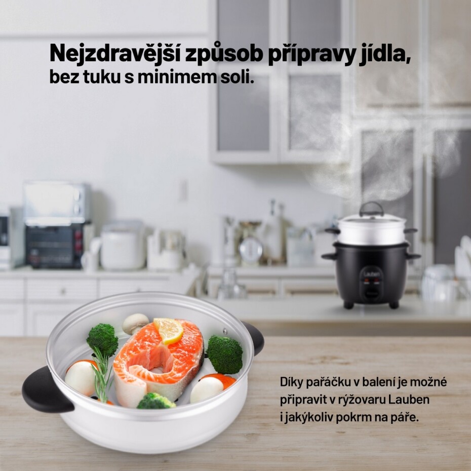 Lauben Rice Cooker 600BC - Stylový rýžovar - main (2)