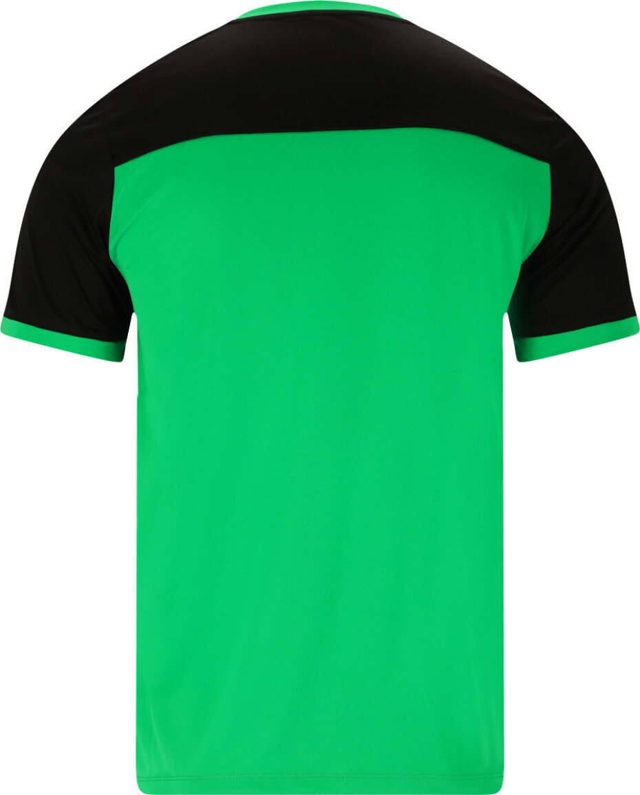 Pánské tričko FZ Forza  Alberti M S/S Tee Perfect Green L - main (1)