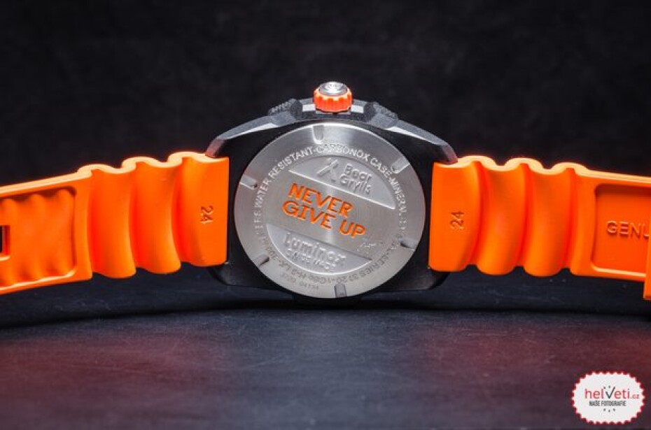 Luminox BEAR GRYLLS Survival 3720 Sea series XB.3729.NGU - main (10)