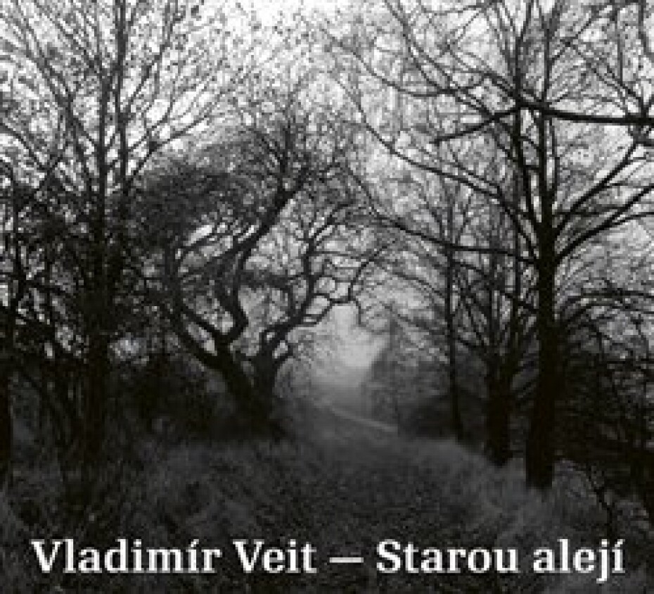 Starou alejí - Vladimír Veit - main (0)