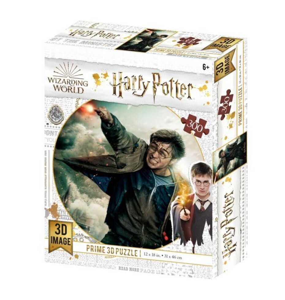 Harry Potter 3D puzzle - Harry Potter 300 dílků - Kolektiv - main (0)