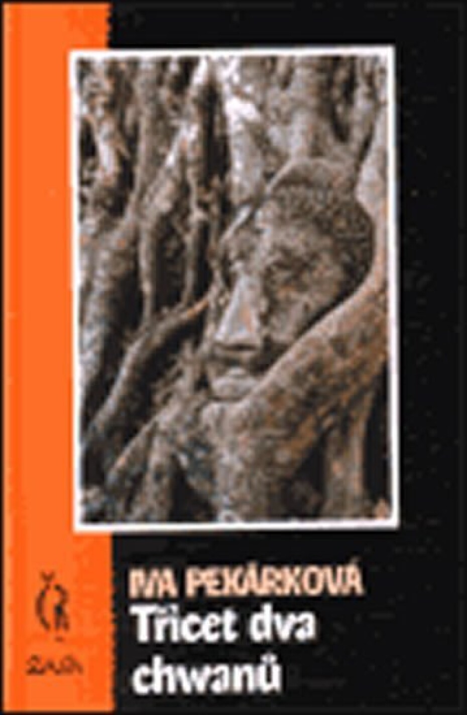 Třicet dva chwanů - Iva Pekárková - main (0)